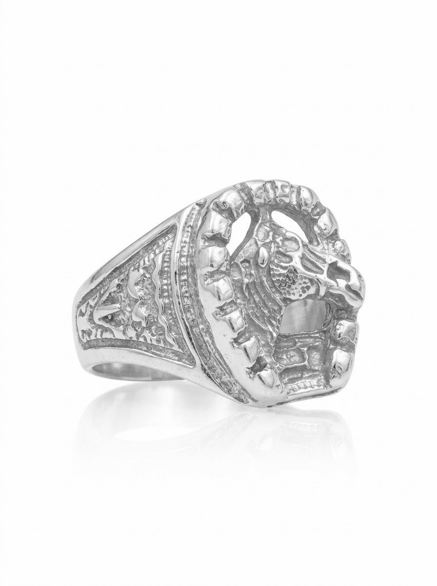 ANILLO DE PLATA HERRADURA DE CABALLO
