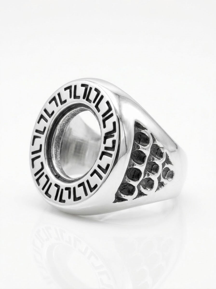 ANILLO MASCULINO DE PLATA